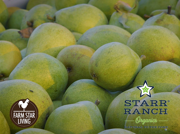 The Art of Growing Starr Ranch® Pears w/ Farm Star Living